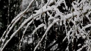 冬<strong>天降</strong>在哭泣的樱桃树上的暴风雪
